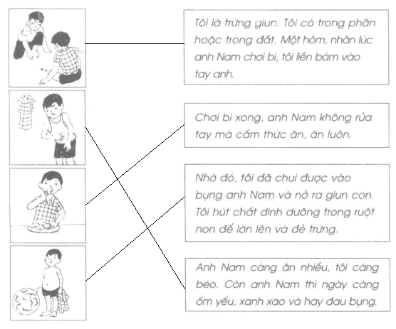 Vở bài tập Tự nhiên và Xã hội lớp 2 Bài 9: Đề phòng bệnh giun | Hay nhất Giải VBT Tự nhiên và Xã hội 2