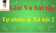 Giải Vở bài tập Tự nhiên và Xã hội lớp 2 hay nhất