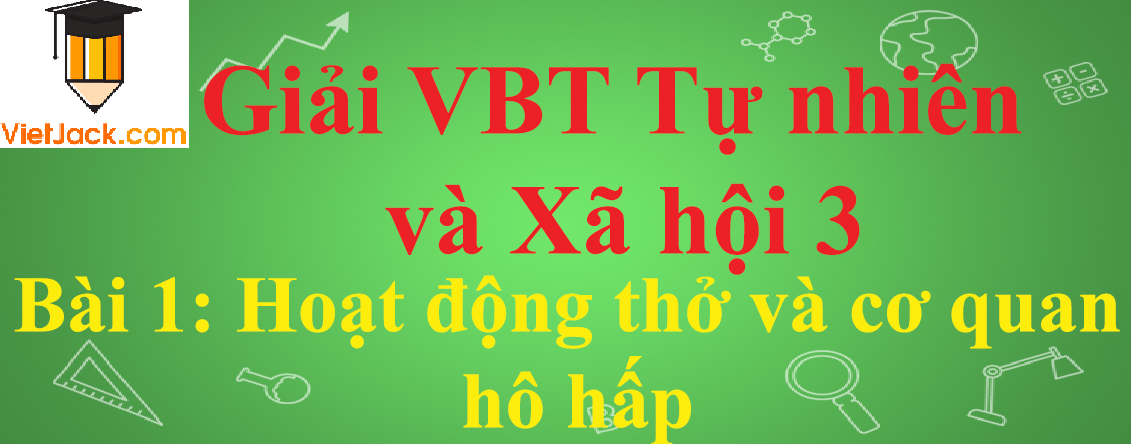 Vở bài tập Tự nhiên và Xã hội lớp 3 Bài 1: Hoạt động thở và cơ quan hô hấp