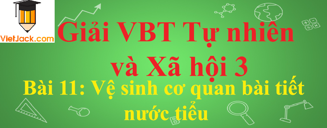 Vở bài tập Tự nhiên và Xã hội lớp 3 Bài 11: Vệ sinh cơ quan bài tiết nước tiểu