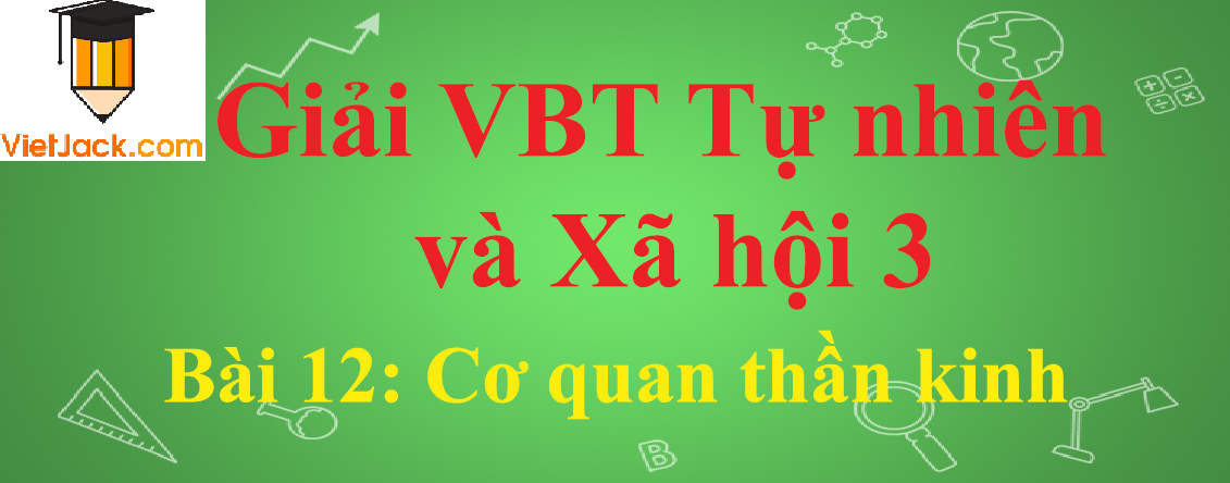 Vở bài tập Tự nhiên và Xã hội lớp 3 Bài 12: Cơ quan thần kinh