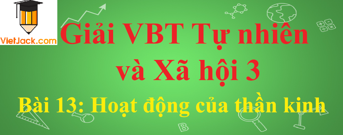 Vở bài tập Tự nhiên và Xã hội lớp 3 Bài 13: Hoạt động của thần kinh