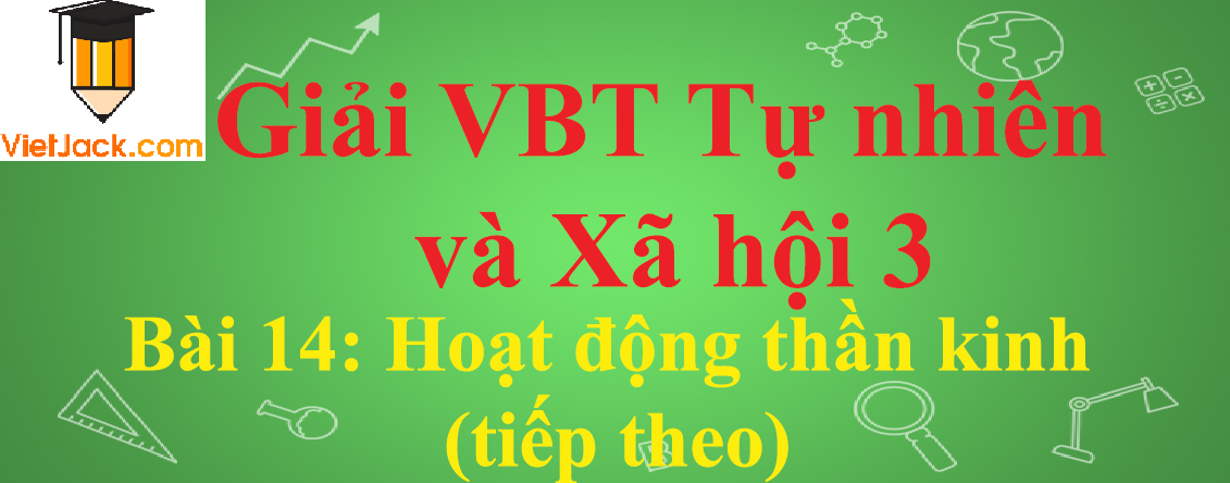 Vở bài tập Tự nhiên và Xã hội lớp 3 Bài 14: Hoạt động thần kinh (tiếp theo)