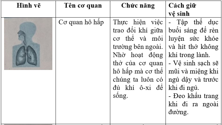 Giải vở bài tập Tự nhiên và Xã hội 3 | Giải Vở bài tập Tự nhiên và Xã hội 3