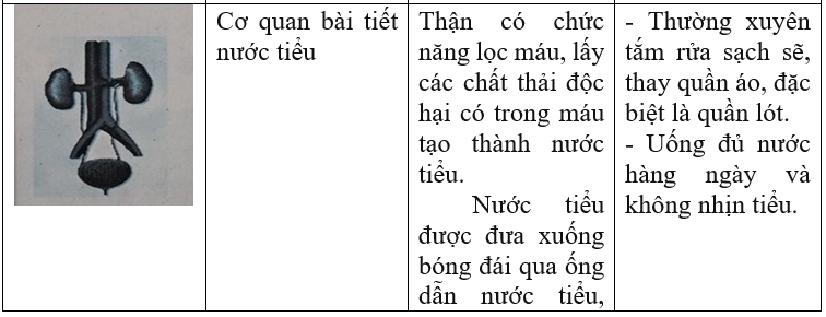 Giải vở bài tập Tự nhiên và Xã hội 3 | Giải Vở bài tập Tự nhiên và Xã hội 3