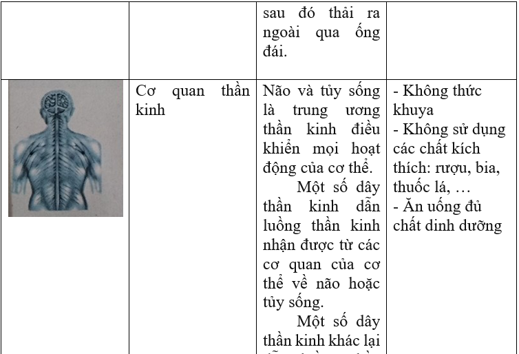 Giải vở bài tập Tự nhiên và Xã hội 3 | Giải Vở bài tập Tự nhiên và Xã hội 3