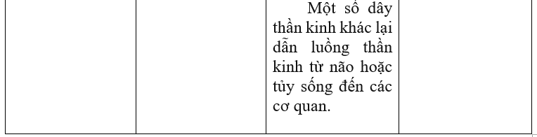 Giải vở bài tập Tự nhiên và Xã hội 3 | Giải Vở bài tập Tự nhiên và Xã hội 3