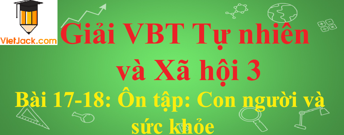 Vở bài tập Tự nhiên và Xã hội lớp 3 Bài 17-18: Ôn tập: Con người và sức khỏe