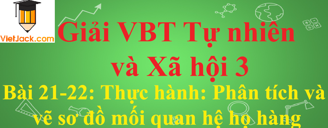 Vở bài tập Tự nhiên và Xã hội lớp 3 Bài 21-22: Thực hành: Phân tích và vẽ sơ đồ mối quan hệ họ hàng