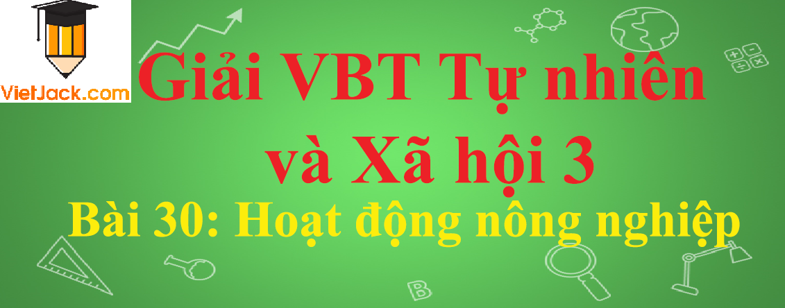 Vở bài tập Tự nhiên và Xã hội lớp 3 Bài 30: Hoạt động nông nghiệp