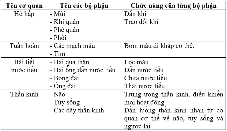 Giải vở bài tập Tự nhiên và Xã hội 3 | Giải Vở bài tập Tự nhiên và Xã hội 3