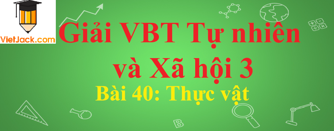 Vở bài tập Tự nhiên và Xã hội lớp 3 Bài 40: Thực vật