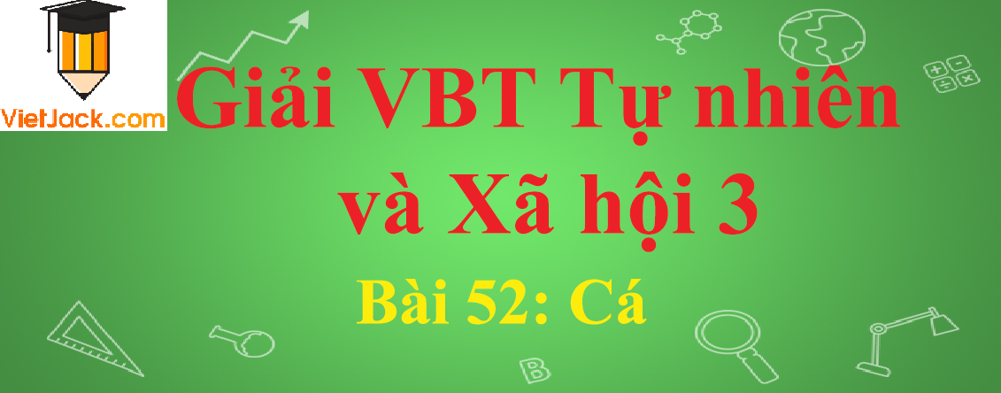 Vở bài tập Tự nhiên và Xã hội lớp 3 Bài 52: Cá