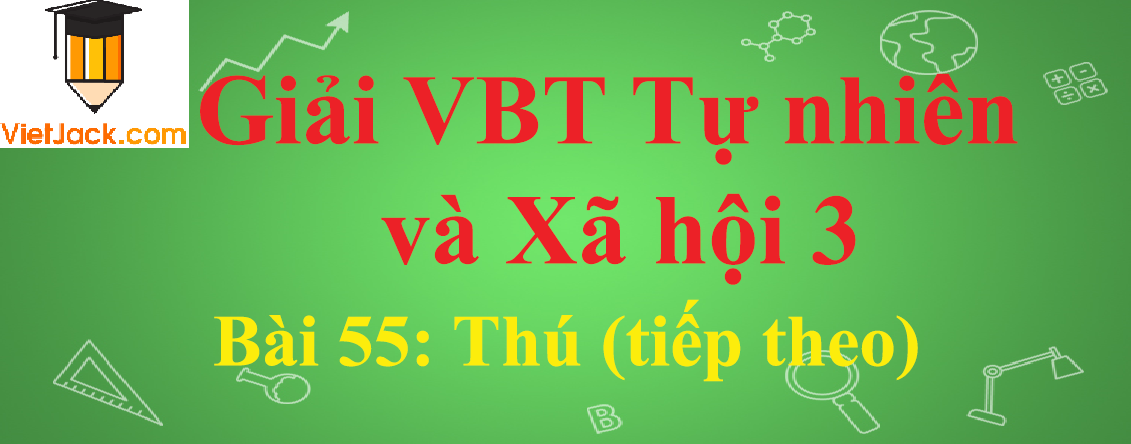 Vở bài tập Tự nhiên và Xã hội lớp 3 Bài 55: Thú (tiếp theo)