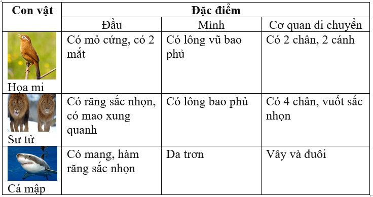 Giải vở bài tập Tự nhiên và Xã hội 3 | Giải Vở bài tập Tự nhiên và Xã hội 3