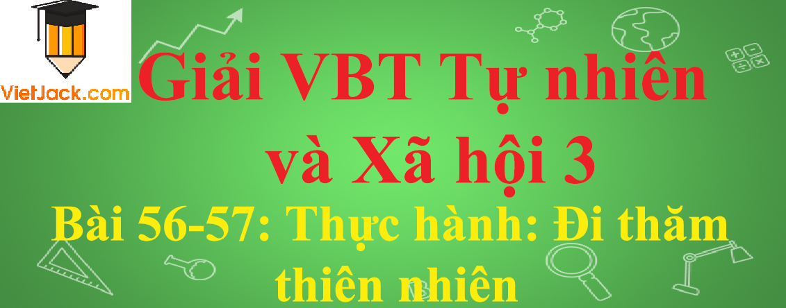 Vở bài tập Tự nhiên và Xã hội lớp 3 Bài 56-57: Thực hành: Đi thăm thiên nhiên