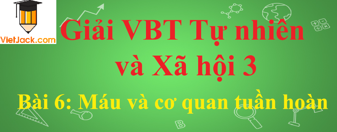 Vở bài tập Tự nhiên và Xã hội lớp 3 Bài 6: Máu và cơ quan tuần hoàn