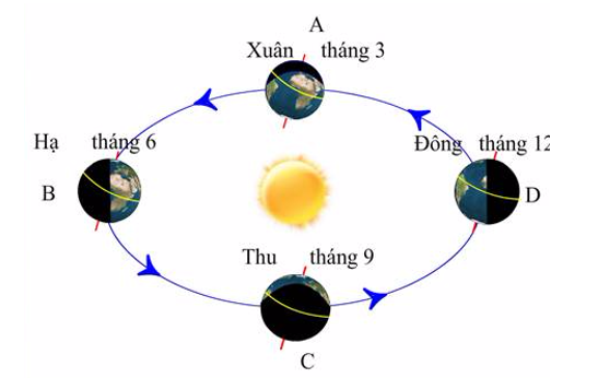 Giải vở bài tập Tự nhiên và Xã hội 3 | Giải Vở bài tập Tự nhiên và Xã hội 3