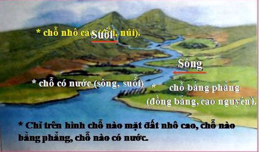 Giải vở bài tập Tự nhiên và Xã hội 3 | Giải Vở bài tập Tự nhiên và Xã hội 3