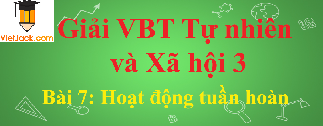 Vở bài tập Tự nhiên và Xã hội lớp 3 Bài 7: Hoạt động tuần hoàn