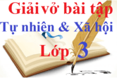 Giải Vở bài tập Tự nhiên và Xã hội 3 | Giải VBT Tự nhiên và Xã hội 3