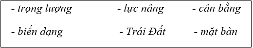 Bài 8a trang 33 Vở bài tập Vật Lí 6 | Giải vở bài tập Vật Lí 6