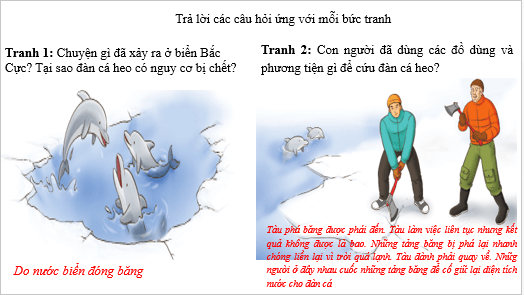 Giáo án điện tử Âm nhạc lớp 3 Kết nối tri thức Thường thức âm nhạc: Cá heo với âm nhạc | PPT Âm nhạc 3
