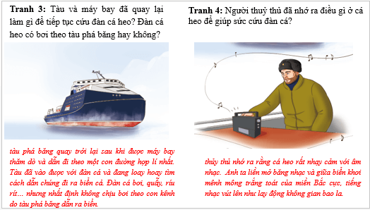 Giáo án điện tử Âm nhạc lớp 3 Kết nối tri thức Thường thức âm nhạc: Cá heo với âm nhạc | PPT Âm nhạc 3