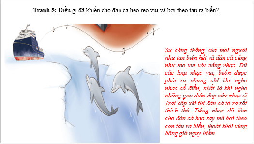 Giáo án điện tử Âm nhạc lớp 3 Kết nối tri thức Thường thức âm nhạc: Cá heo với âm nhạc | PPT Âm nhạc 3