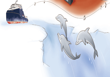 Giáo án Âm nhạc lớp 3 Kết nối tri thức Thường thức âm nhạc: Cá heo với âm nhạc