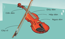 Giáo án Âm nhạc lớp 3 Kết nối tri thức Thường thức âm nhạc: Giới thiệu đàn vi-ô-lông (violon)