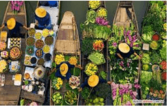 Giáo án Âm nhạc lớp 4 Kết nối tri thức Nghe nhạc: Lí ngựa ô