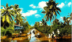 Giáo án Âm nhạc lớp 4 Kết nối tri thức Nghe nhạc: Lí ngựa ô