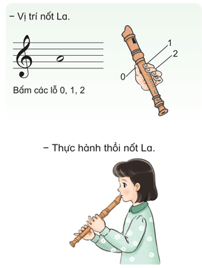 Giáo án Âm nhạc lớp 4 Kết nối tri thức Nhạc cụ: Thể hiện nhạc cụ gõ hoặc nhạc cụ giai điệu trang 50
