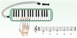 Giáo án Âm nhạc lớp 4 Kết nối tri thức Nhạc cụ: Thể hiện nhạc cụ gõ hoặc nhạc cụ giai điệu trang 50