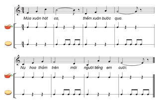 Giáo án Âm nhạc lớp 5 Kết nối tri thức Nhạc cụ: Nhạc cụ thể hiện tiết tấu và nhạc cụ thể hiện giai điệu trang 31
