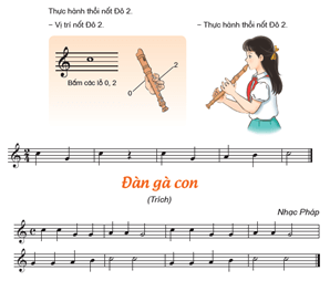 Giáo án Âm nhạc lớp 5 Kết nối tri thức Nhạc cụ: Nhạc cụ thể hiện tiết tấu và nhạc cụ thể hiện giai điệu trang 31