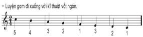 Giáo án Âm nhạc lớp 5 Kết nối tri thức Nhạc cụ: Nhạc cụ thể hiện tiết tấu và nhạc cụ thể hiện giai điệu trang 67