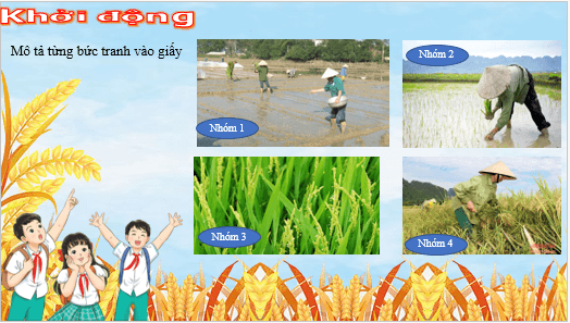 Giáo án điện tử Âm nhạc lớp 5 Kết nối tri thức Hát: Em đi giữa biển vàng | PPT Âm nhạc 5