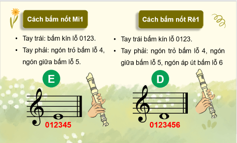 Giáo án điện tử Âm nhạc 8 Kết nối tri thức Nhạc cụ: Recorder hoặc kèn phím trang 15 | PPT Âm nhạc 8