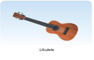 Giáo án Âm nhạc 8 Kết nối tri thức Thường thức âm nhạc: Đàn guitar và ukulele