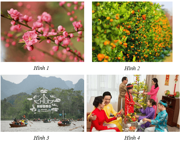 Giáo án Âm nhạc 8 Kết nối tri thức Thường thức âm nhạc: Nhạc sĩ Trần Hoàn và ca khúc Một mùa xuân nho nhỏ