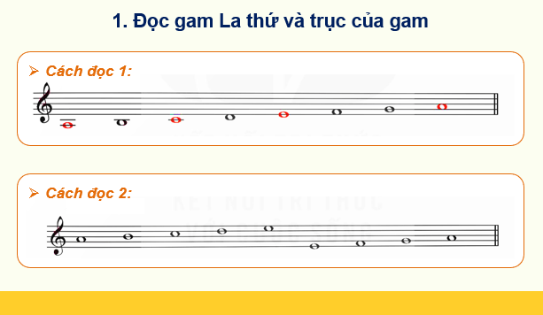 Giáo án điện tử Âm nhạc 9 Kết nối tri thức Đọc nhạc: Bài đọc nhạc số 4 | PPT Âm nhạc 9