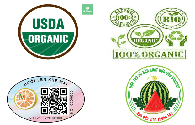 Giáo án Chuyên đề Công nghệ 10 Kết nối tri thức Bài 15: Thực hành: Nhận biết sản phẩm VietGAP trồng trọt qua tem (nhân) (ảnh 1)