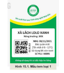 Giáo án Chuyên đề Công nghệ 10 Kết nối tri thức Bài 15: Thực hành: Nhận biết sản phẩm VietGAP trồng trọt qua tem (nhân) (ảnh 2)