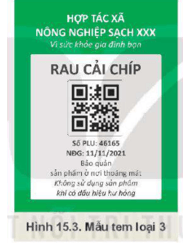 Giáo án Chuyên đề Công nghệ 10 Kết nối tri thức Bài 15: Thực hành: Nhận biết sản phẩm VietGAP trồng trọt qua tem (nhân) (ảnh 4)