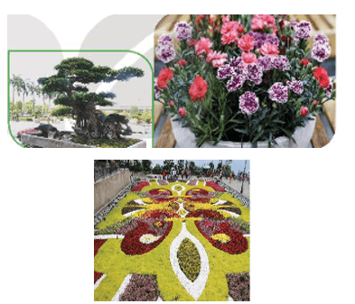 Giáo án Chuyên đề Công nghệ 10 Kết nối tri thức Bài 5: Giới thiệu về hoa, cây cảnh (ảnh 2)