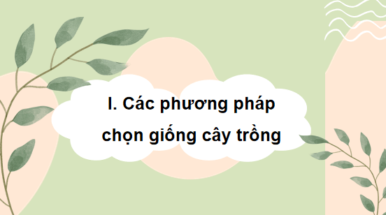 Giáo án điện tử Công nghệ 10 Kết nối tri thức Bài 12: Một số phương pháp chọn, tạo giống cây trồng | PPT Công nghệ 10