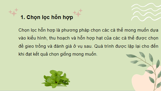 Giáo án điện tử Công nghệ 10 Kết nối tri thức Bài 12: Một số phương pháp chọn, tạo giống cây trồng | PPT Công nghệ 10