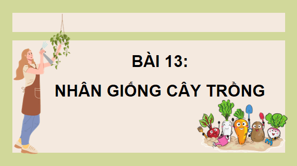 Giáo án điện tử Công nghệ 10 Kết nối tri thức Bài 13: Nhân giống cây trồng | PPT Công nghệ 10